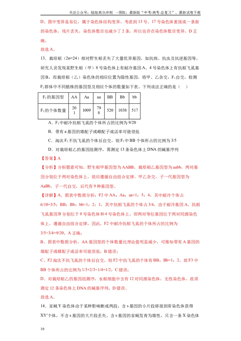 《第七单元变异与进化（测试卷）（解析版)_06-生物-高考总复习_一轮复习_2024年_2024年高考生物一轮复习重难点专项突破_资料》第10页预览