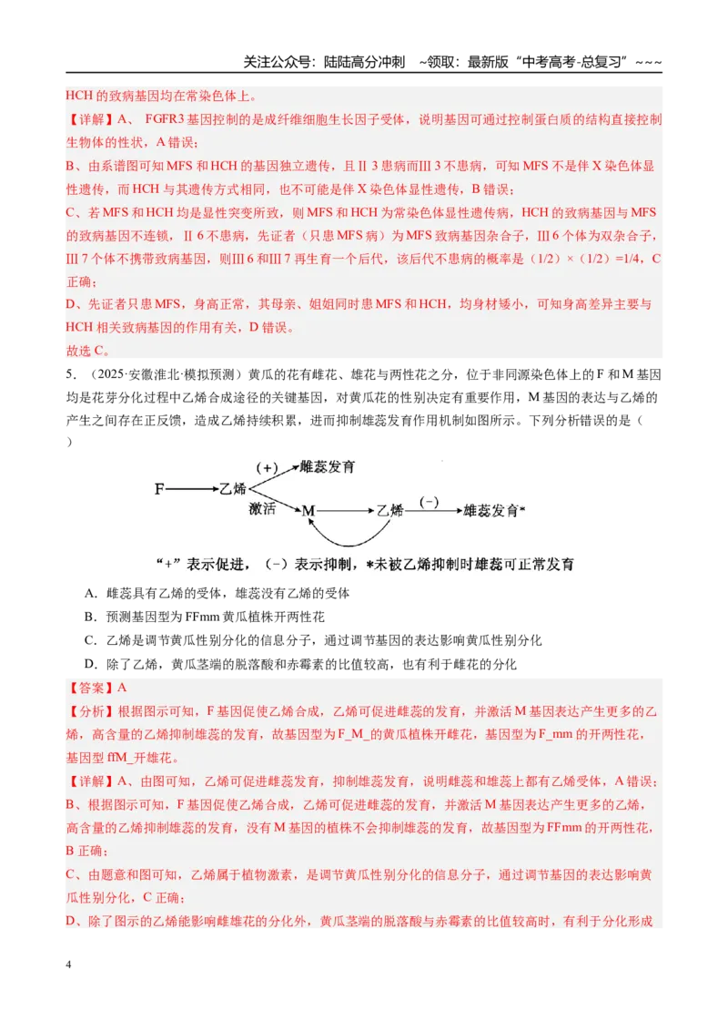 《第五单元遗传的基本规律（综合训练）（教师版）（安徽专用）_06-生物-高考总复习_一轮复习_2026年-生物高考一轮复习_2026年高考生物一轮课件+讲义+练习（安徽专用）-G326》第4页预览