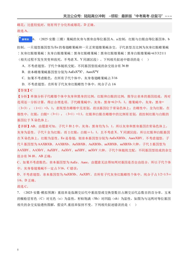 《第五单元遗传的基本规律（综合训练）（教师版）（安徽专用）_06-生物-高考总复习_一轮复习_2026年-生物高考一轮复习_2026年高考生物一轮课件+讲义+练习（安徽专用）-G326》第5页预览