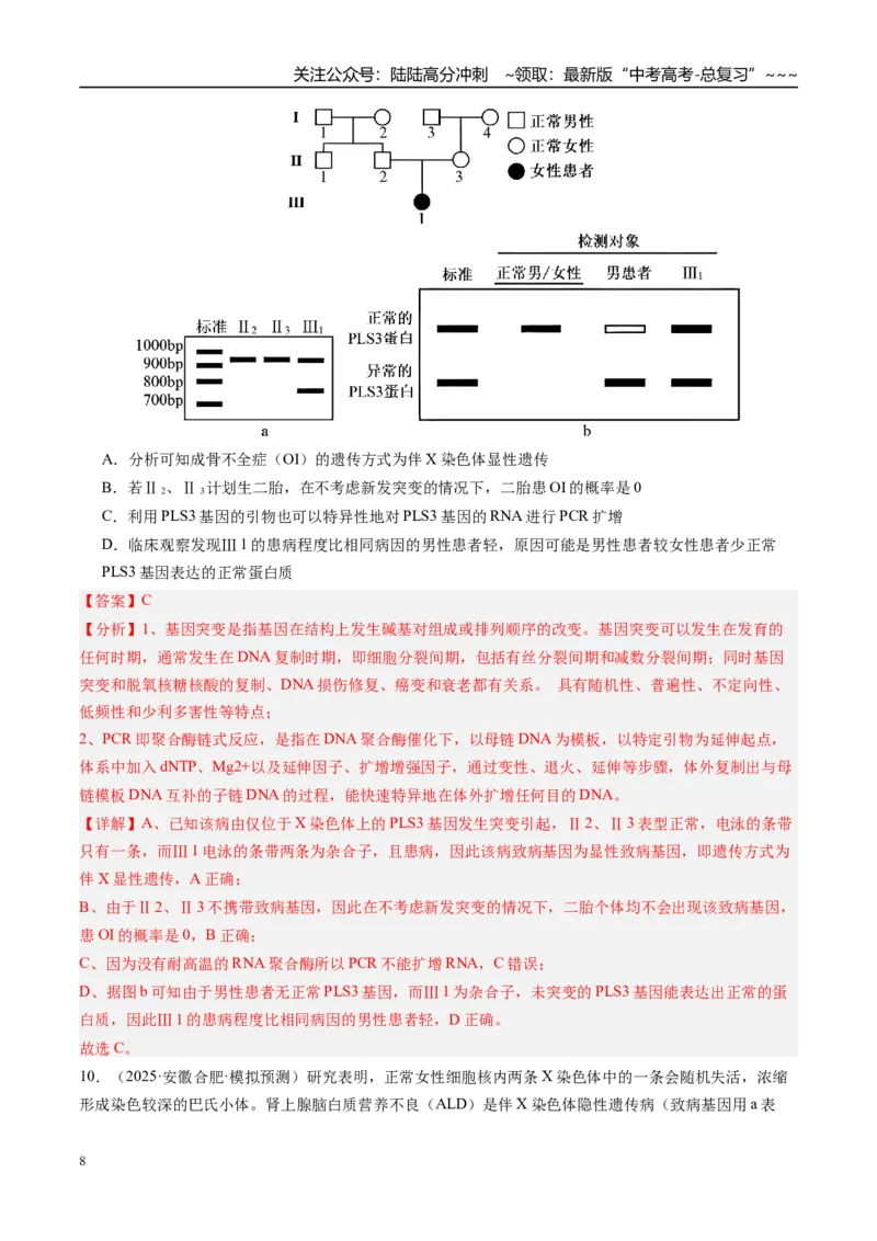 《第五单元遗传的基本规律（综合训练）（教师版）（安徽专用）_06-生物-高考总复习_一轮复习_2026年-生物高考一轮复习_2026年高考生物一轮课件+讲义+练习（安徽专用）-G326》第8页预览
