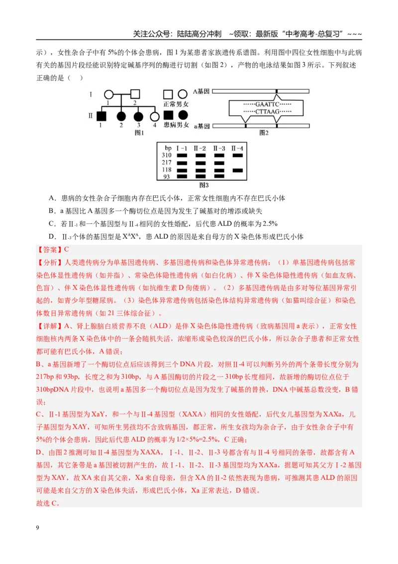 《第五单元遗传的基本规律（综合训练）（教师版）（安徽专用）_06-生物-高考总复习_一轮复习_2026年-生物高考一轮复习_2026年高考生物一轮课件+讲义+练习（安徽专用）-G326》第9页预览