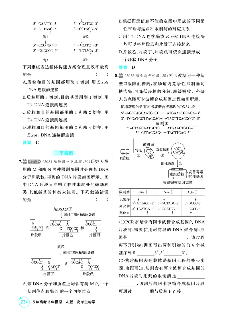 《1_精练册PDF-第24章基因工程_2026版教学资源包_202653高考总复习A版_山东版_2026版.山东版.选考总复习.生物.5·3A版_第5部分生物技术与工程_第24章基因工程_1_精练册PDF》第2页预览
