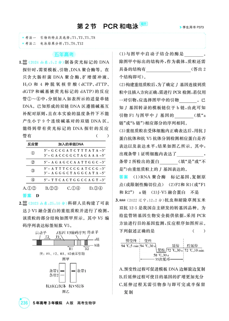《1_精练册PDF-第24章基因工程_2026版教学资源包_202653高考总复习A版_山东版_2026版.山东版.选考总复习.生物.5·3A版_第5部分生物技术与工程_第24章基因工程_1_精练册PDF》第4页预览