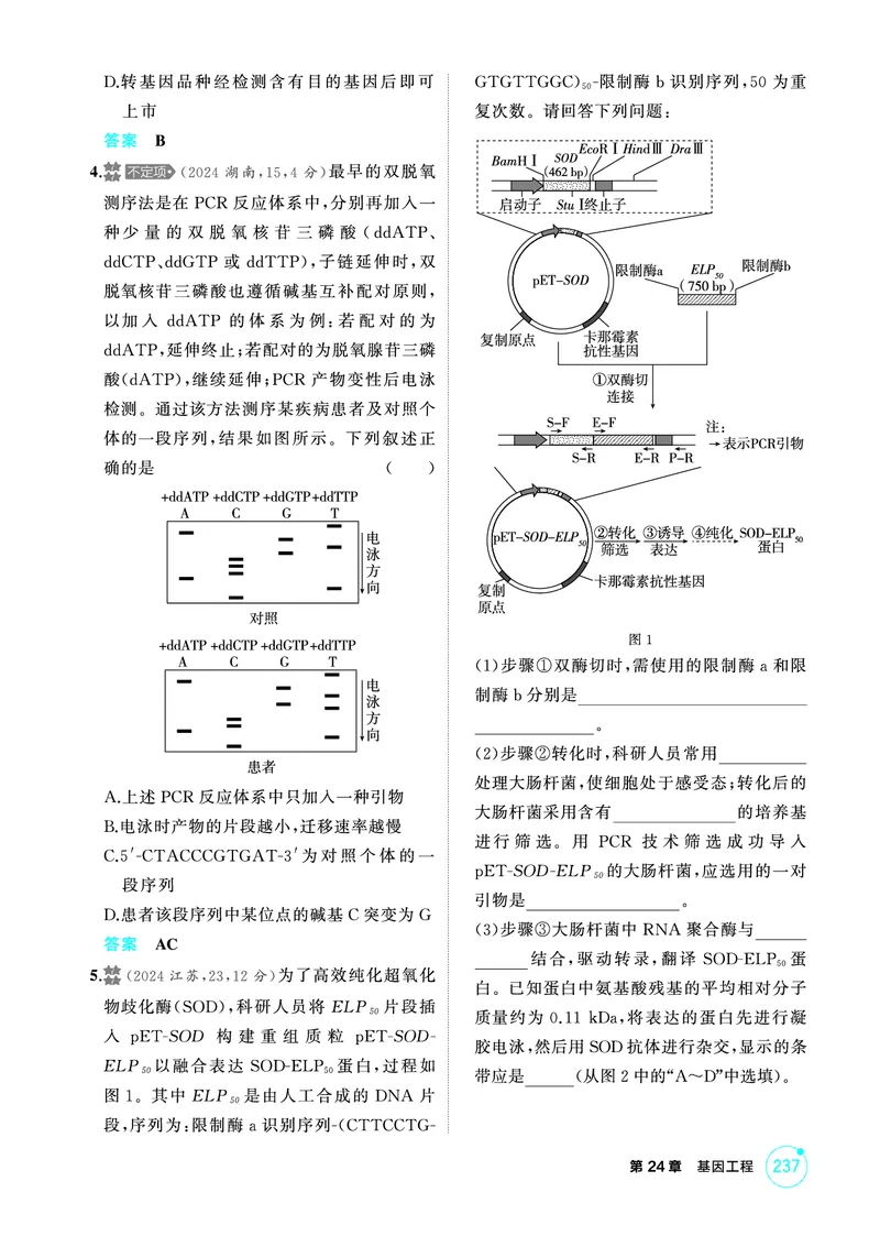 《1_精练册PDF-第24章基因工程_2026版教学资源包_202653高考总复习A版_山东版_2026版.山东版.选考总复习.生物.5·3A版_第5部分生物技术与工程_第24章基因工程_1_精练册PDF》第5页预览