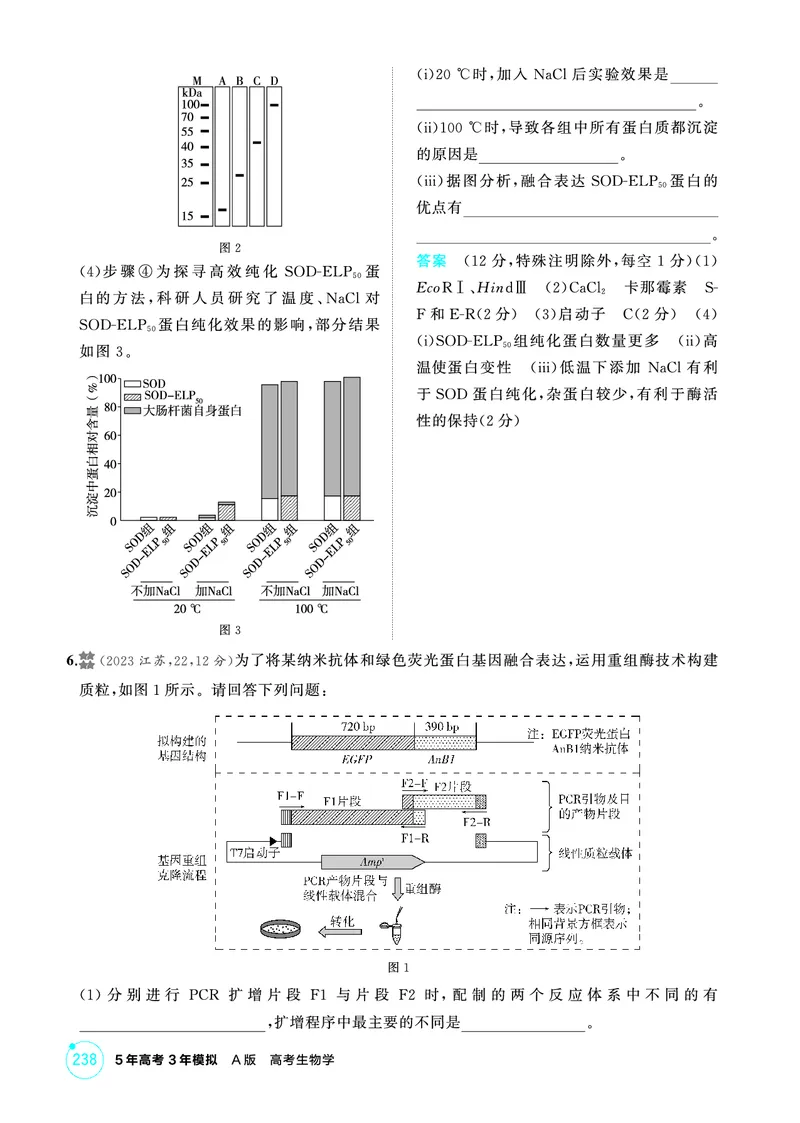 《1_精练册PDF-第24章基因工程_2026版教学资源包_202653高考总复习A版_山东版_2026版.山东版.选考总复习.生物.5·3A版_第5部分生物技术与工程_第24章基因工程_1_精练册PDF》第6页预览