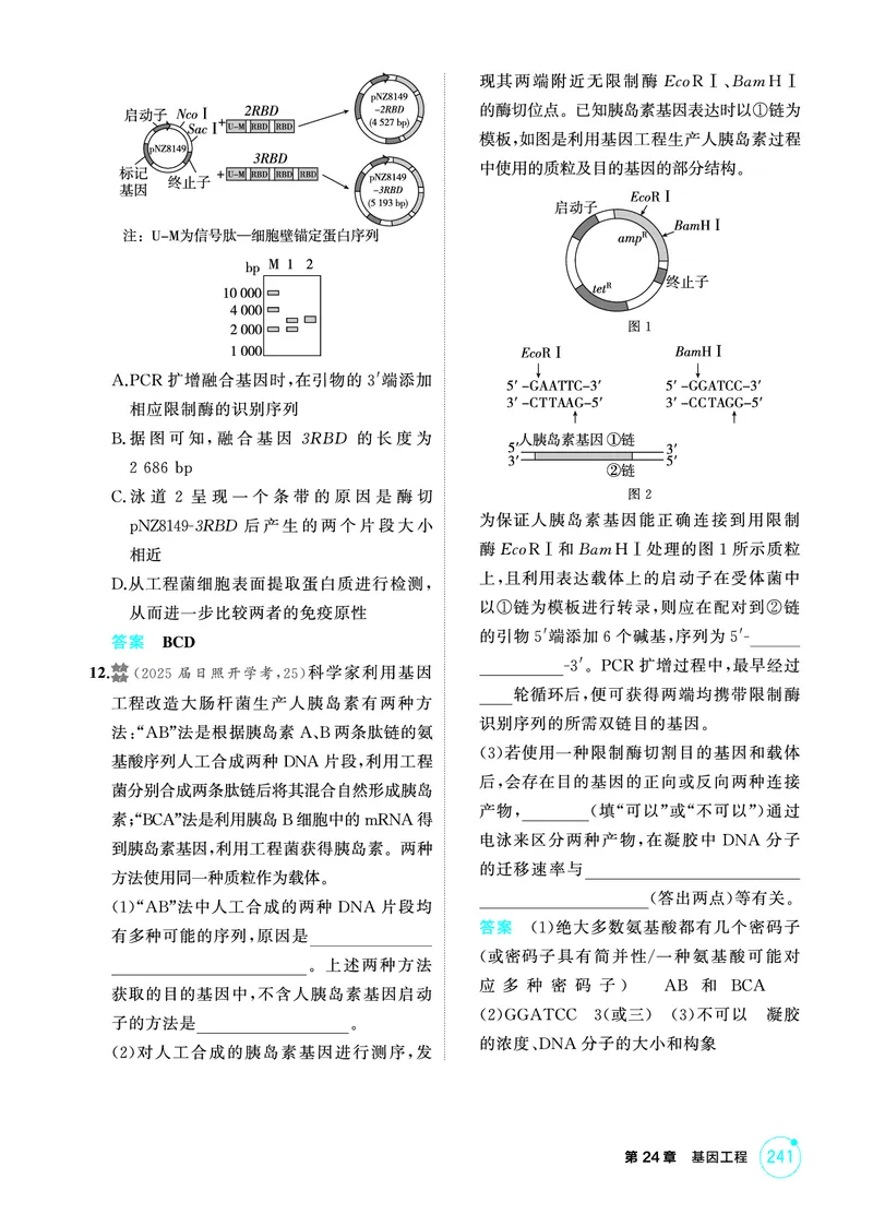 《1_精练册PDF-第24章基因工程_2026版教学资源包_202653高考总复习A版_山东版_2026版.山东版.选考总复习.生物.5·3A版_第5部分生物技术与工程_第24章基因工程_1_精练册PDF》第9页预览