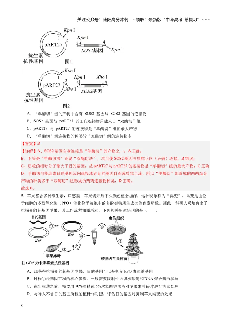 《第十单元生物技术与工程（综合训练）（安徽专用）（教师版）_06-生物-高考总复习_一轮复习_2026年-生物高考一轮复习_2026年高考生物一轮课件+讲义+练习（安徽专用）-G326》第5页预览