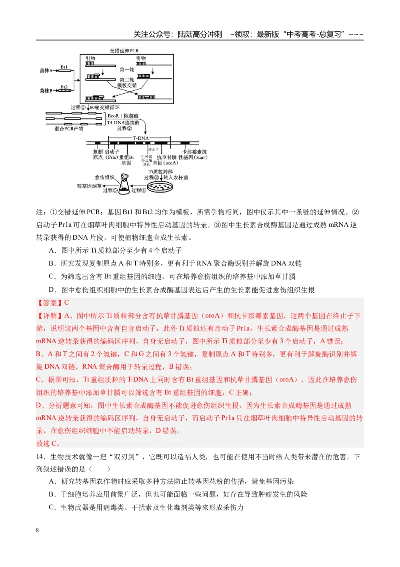 《第十单元生物技术与工程（综合训练）（安徽专用）（教师版）_06-生物-高考总复习_一轮复习_2026年-生物高考一轮复习_2026年高考生物一轮课件+讲义+练习（安徽专用）-G326》第8页预览