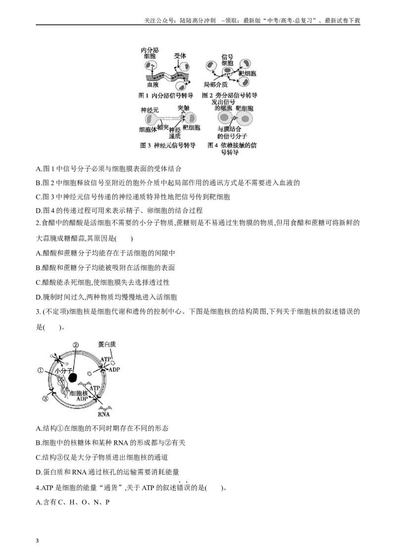 《题型01基本概念原理类（选择题5大类型解题技巧）（原卷版）_06-生物-高考总复习_专项复习_2024年_2024年高考生物答题技巧与模板构建》第3页预览