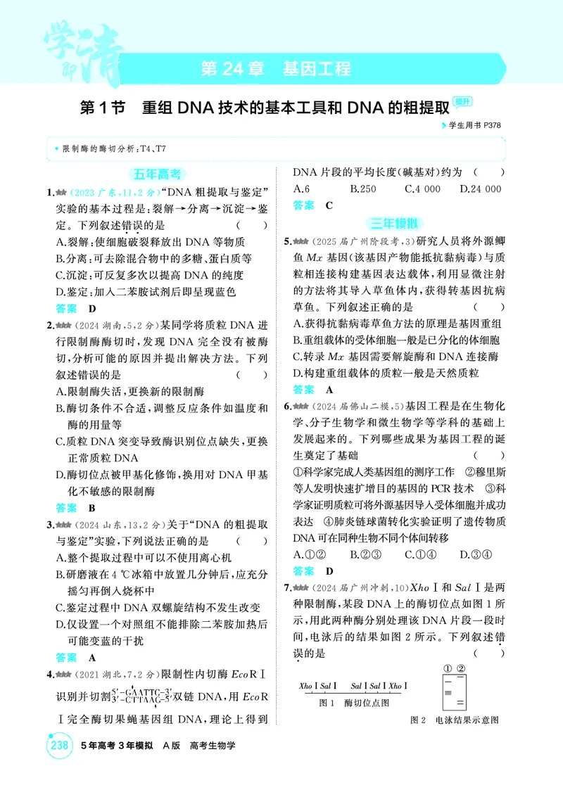 《1_精练册-第24章基因工程_2026版教学资源包_202653高考总复习A版_广东版_2026版.广东版.选考总复习.生物.5·3A版_第5部分生物技术与工程_第24章基因工程_4_PDF教参电子书》第1页预览