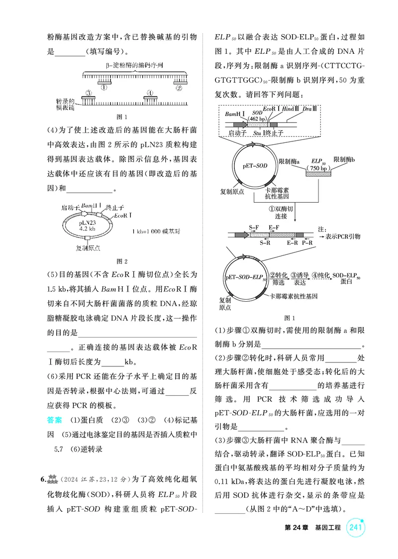 《1_精练册-第24章基因工程_2026版教学资源包_202653高考总复习A版_广东版_2026版.广东版.选考总复习.生物.5·3A版_第5部分生物技术与工程_第24章基因工程_4_PDF教参电子书》第4页预览