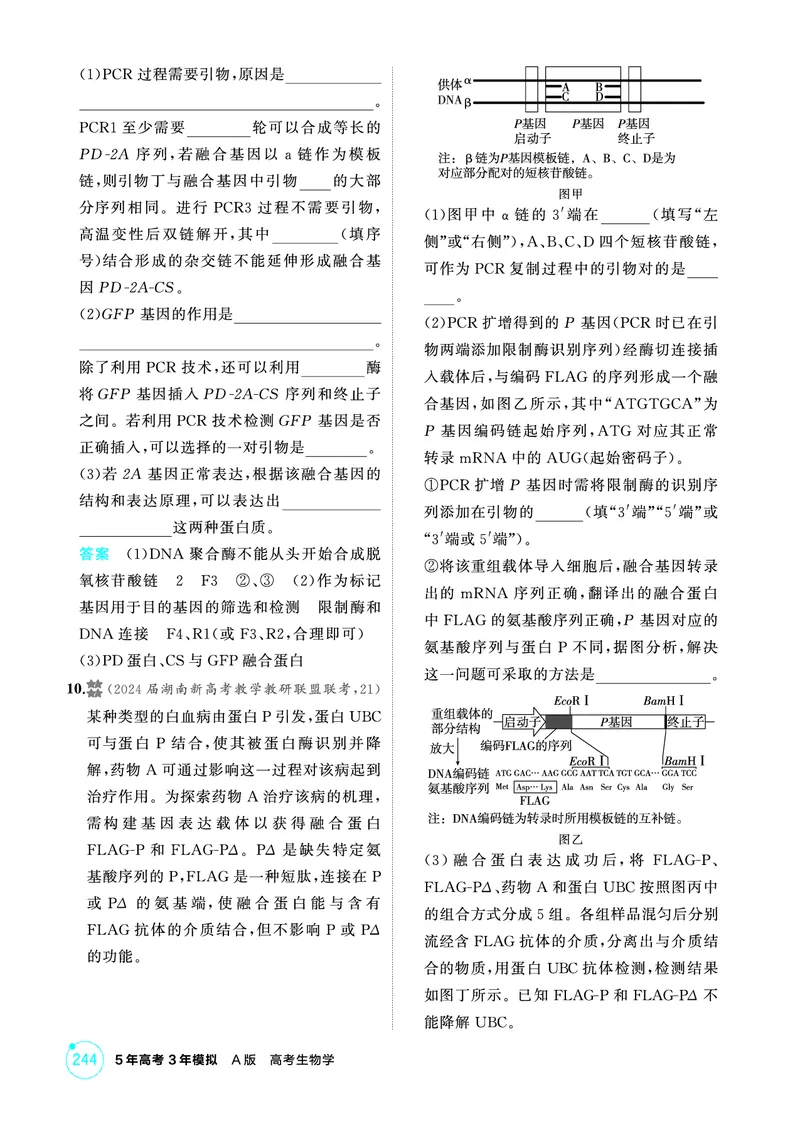 《1_精练册-第24章基因工程_2026版教学资源包_202653高考总复习A版_广东版_2026版.广东版.选考总复习.生物.5·3A版_第5部分生物技术与工程_第24章基因工程_4_PDF教参电子书》第7页预览