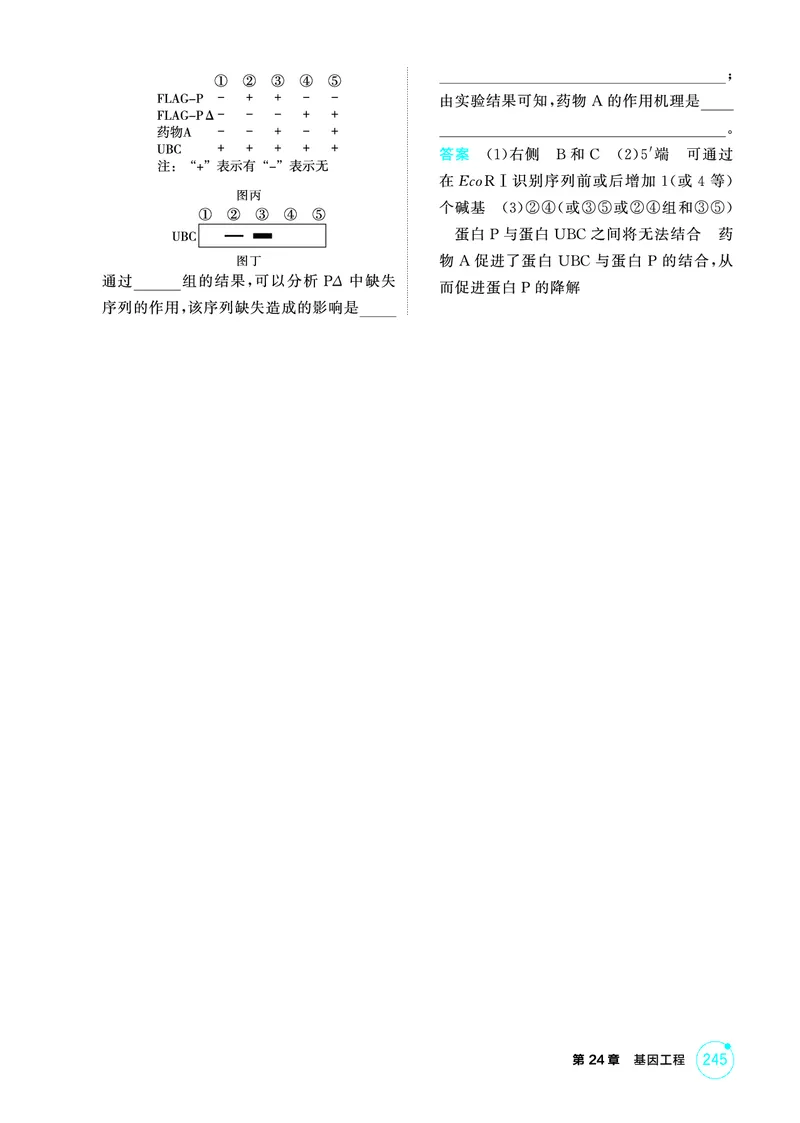 《1_精练册-第24章基因工程_2026版教学资源包_202653高考总复习A版_广东版_2026版.广东版.选考总复习.生物.5·3A版_第5部分生物技术与工程_第24章基因工程_4_PDF教参电子书》第8页预览