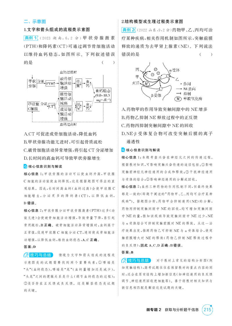 《1_精讲册-微专题2　获取与分析题干信息_2026版教学资源包_202653高考总复习A版_江苏版_2026版.江苏版.选考总复习.生物.5·3A版_微专题_微专题2获取与分析题干信息_2_精讲册PDF》第2页预览