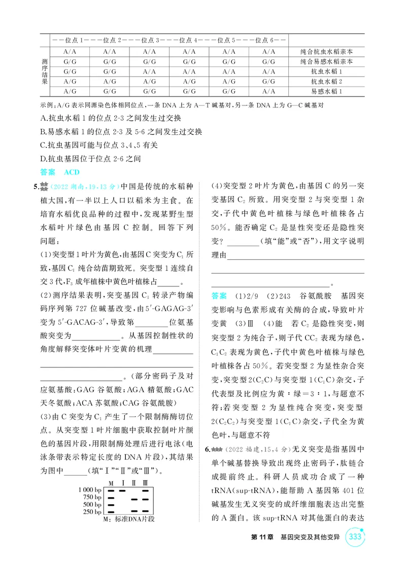 《1_精练册-第11章基因突变及其他变异_2026版教学资源包_202653高考总复习A版_湖南版_2026版.湖南版.选考总复习.生物.5·3A版_第2部分遗传与进化_第11章基因突变及其他变异_4_PDF教参电子书》第2页预览