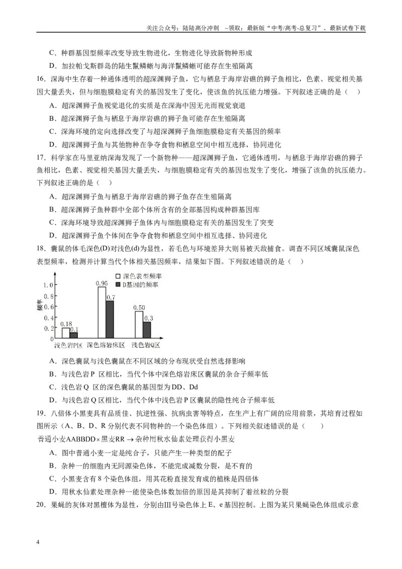 《第七单元生物的变异和进化（测试）（学生版）_06-生物-高考总复习_一轮复习_2025年_2025年新高考生物一轮复习讲义PPT知识点习题训_资料_第七单元生物的变异和进化》第4页预览
