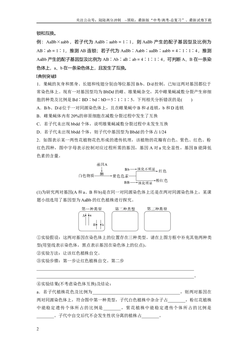 《第五单元　专题突破7　探究不同对基因在常染色体上的位置_06-生物-高考总复习_一轮复习_2025年_2025年大一轮复习讲义人教版生物_资料_1-资料_大一轮复习讲义学生专用_2025大一轮复习讲义》第2页预览