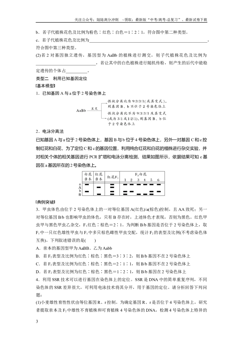 《第五单元　专题突破7　探究不同对基因在常染色体上的位置_06-生物-高考总复习_一轮复习_2025年_2025年大一轮复习讲义人教版生物_资料_1-资料_大一轮复习讲义学生专用_2025大一轮复习讲义》第3页预览