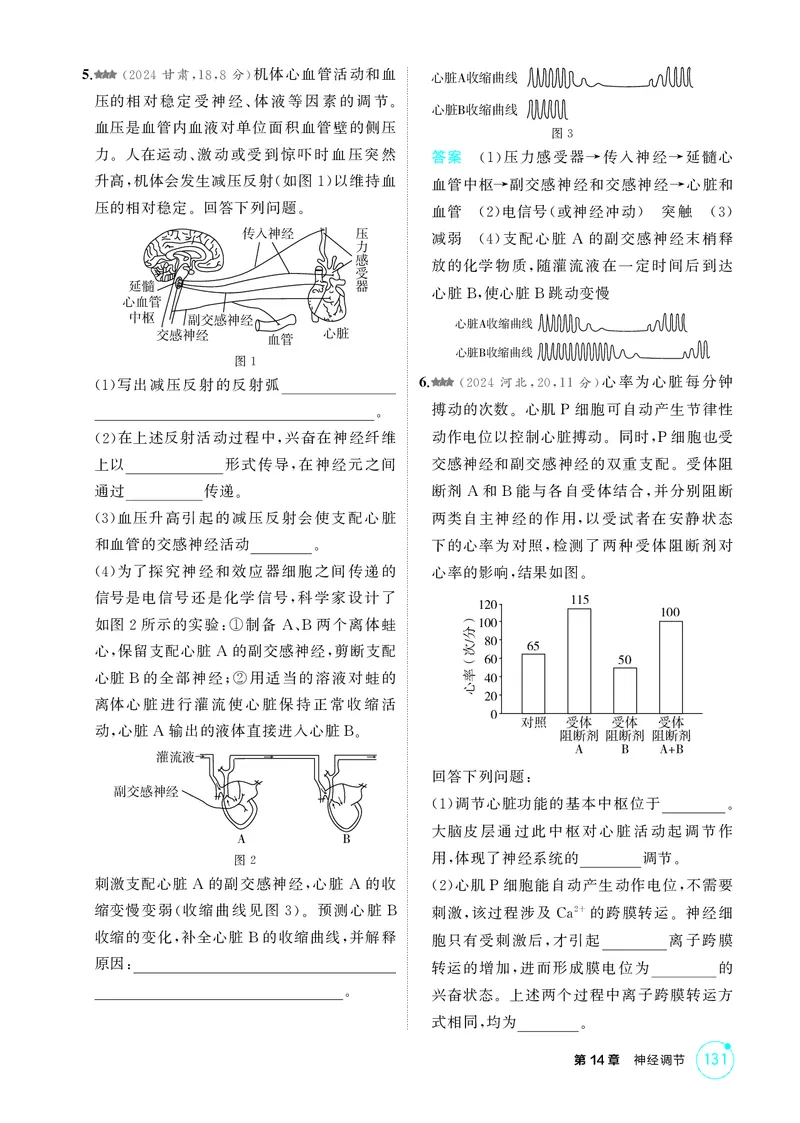 《1_精练册第14章神经调节_2026版教学资源包_202653高考总复习A版_新高考_生物_教师A版2026年.新高考版.生物.53_第3部分稳态与调节_第14章神经调节_4_PDF教参电子书》第6页预览