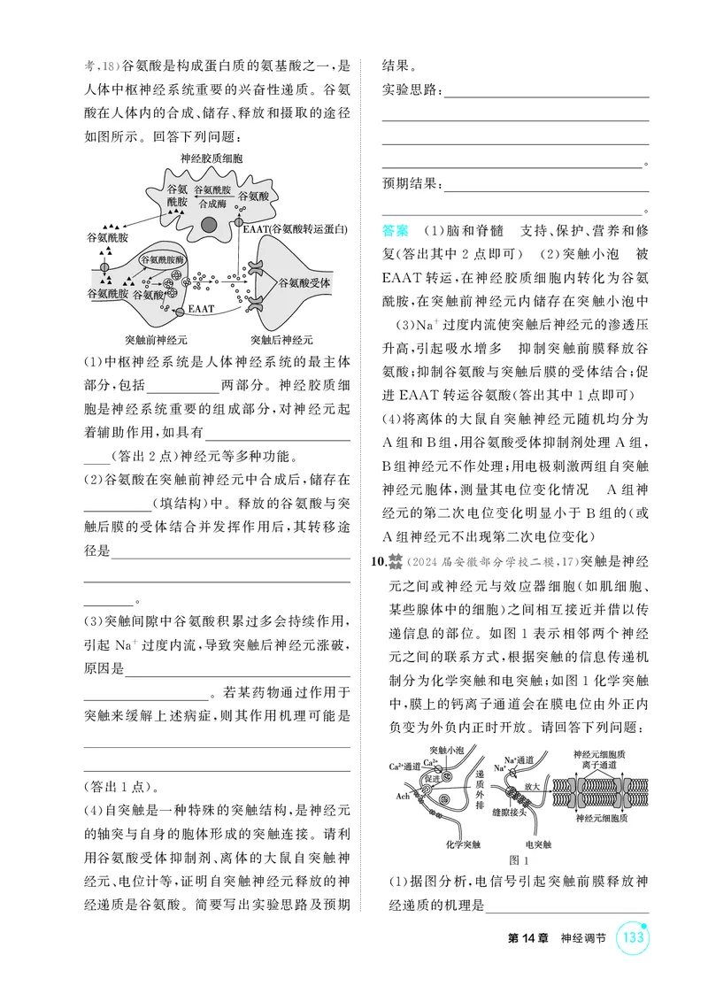 《1_精练册第14章神经调节_2026版教学资源包_202653高考总复习A版_新高考_生物_教师A版2026年.新高考版.生物.53_第3部分稳态与调节_第14章神经调节_4_PDF教参电子书》第8页预览