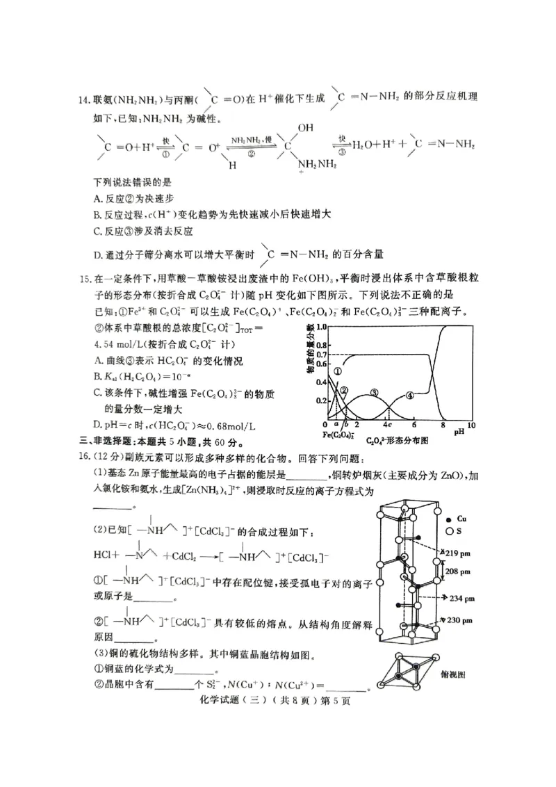 《55_05化学山东聊城市（三模）试卷+标答评分细则_2025版教学资源包_（总复习系列）2025版《5年高考3年模拟》新高考版B版（⭐全科）_2025版.新高考新教材版.选考总复习.化学.5·3B版》第5页预览
