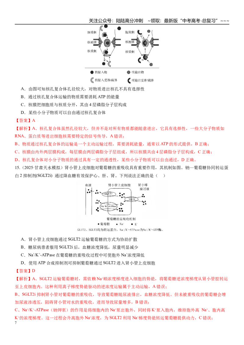 《第二单元细胞结构及物质运输（综合训练）（福建专用）（教师版）_06-生物-高考总复习_一轮复习_2026年-生物高考一轮复习_2026年高考生物一轮课件+讲义+练习（福建专用）-G328》第7页预览