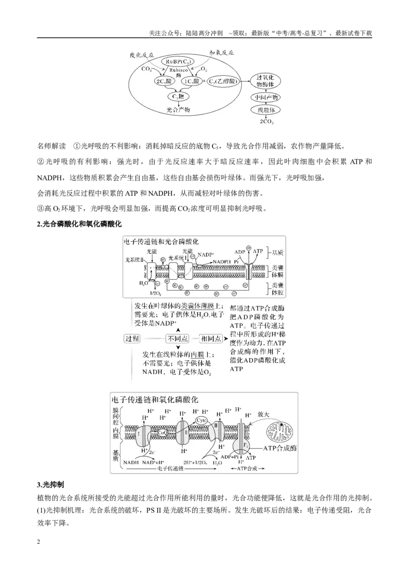 《重难题型03光呼吸、光抑制与光系统（学生版）_06-生物-高考总复习_专项复习_2025年_2025年高考生物重难点讲义专练（新高考通用）》第2页预览