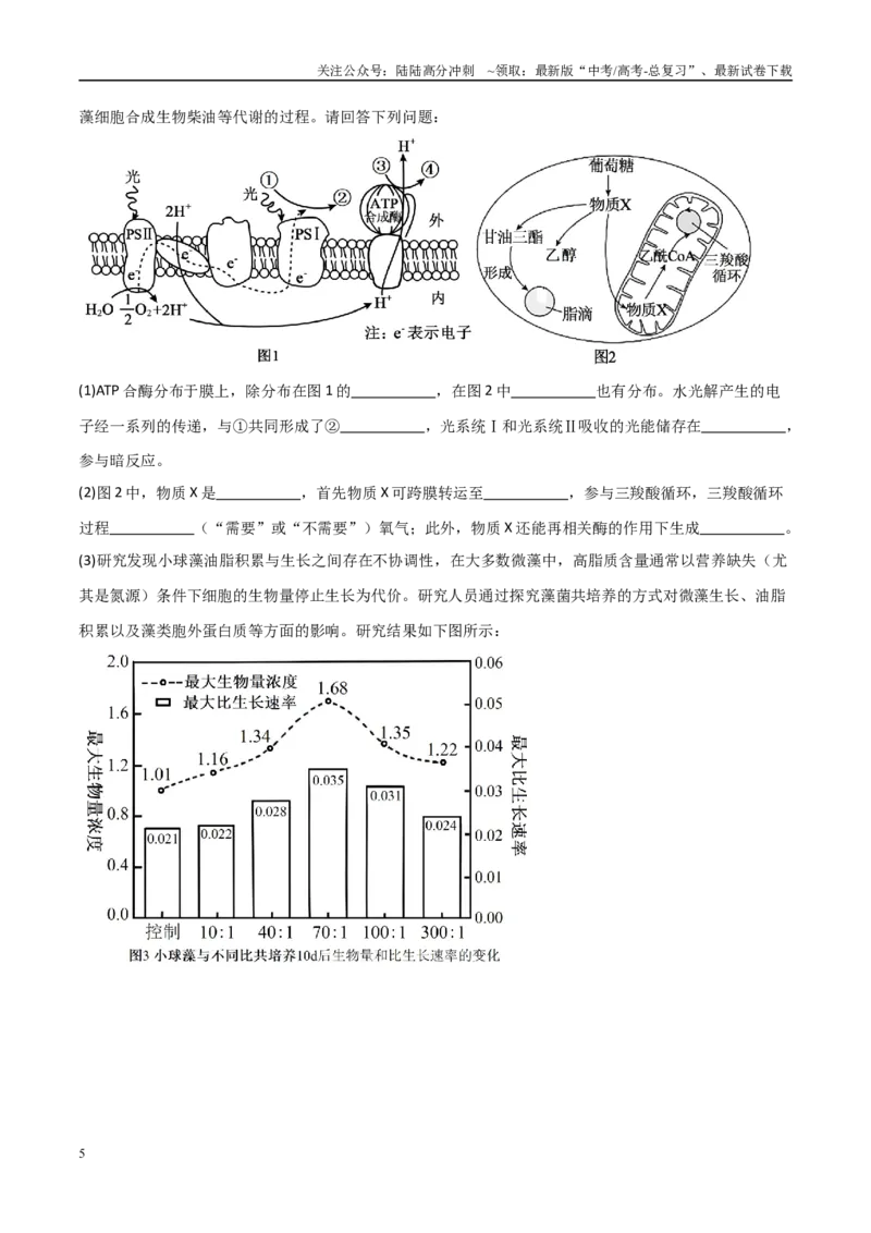 《重难题型03光呼吸、光抑制与光系统（学生版）_06-生物-高考总复习_专项复习_2025年_2025年高考生物重难点讲义专练（新高考通用）》第5页预览