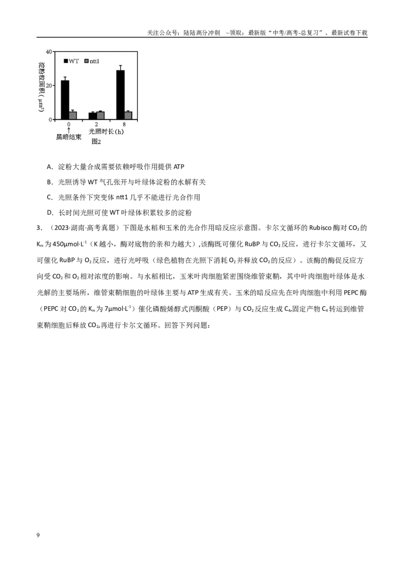 《重难题型03光呼吸、光抑制与光系统（学生版）_06-生物-高考总复习_专项复习_2025年_2025年高考生物重难点讲义专练（新高考通用）》第9页预览
