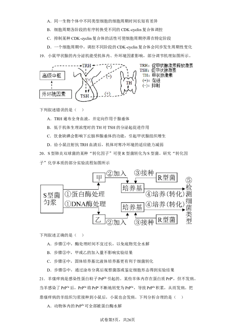 《2022年1月新高考浙江省生物高考真题(1)_2026版高中《二三轮复习+冲刺复习》_2021-2025生物高考题_2022生物高考题_学生》第5页预览