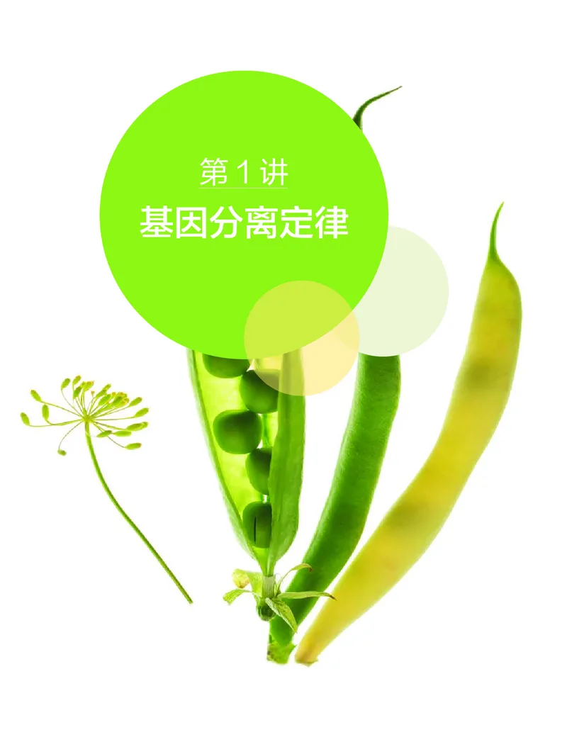 《讲义春季目标清北班高一生物直播班（全国）-3eb44cc96510_学而思高一全套_2020年春季高一_2020春季目标清北班高一生物直播班（全国）陆巍巍已完结16讲》第3页预览