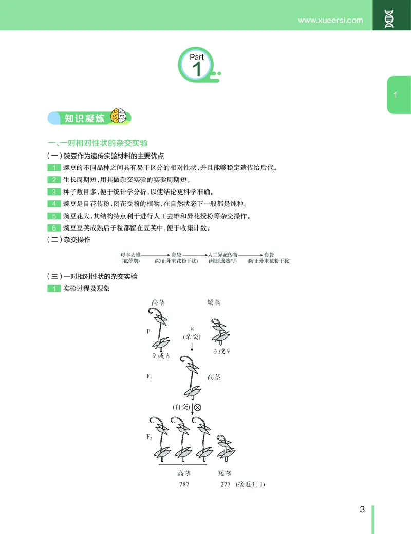 《讲义春季目标清北班高一生物直播班（全国）-3eb44cc96510_学而思高一全套_2020年春季高一_2020春季目标清北班高一生物直播班（全国）陆巍巍已完结16讲》第4页预览