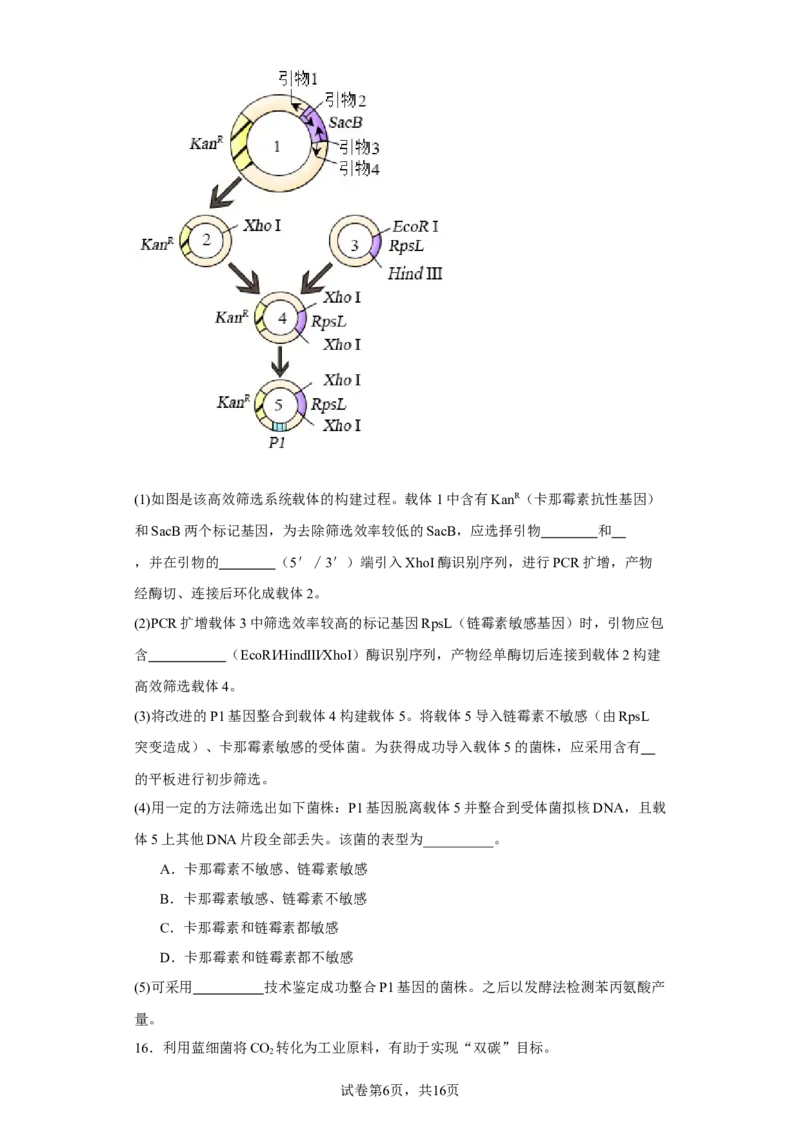 《2022年新教材天津生物高考试题(1)_2026版高中《二三轮复习+冲刺复习》_2021-2025生物高考题_2022生物高考题_学生》第6页预览