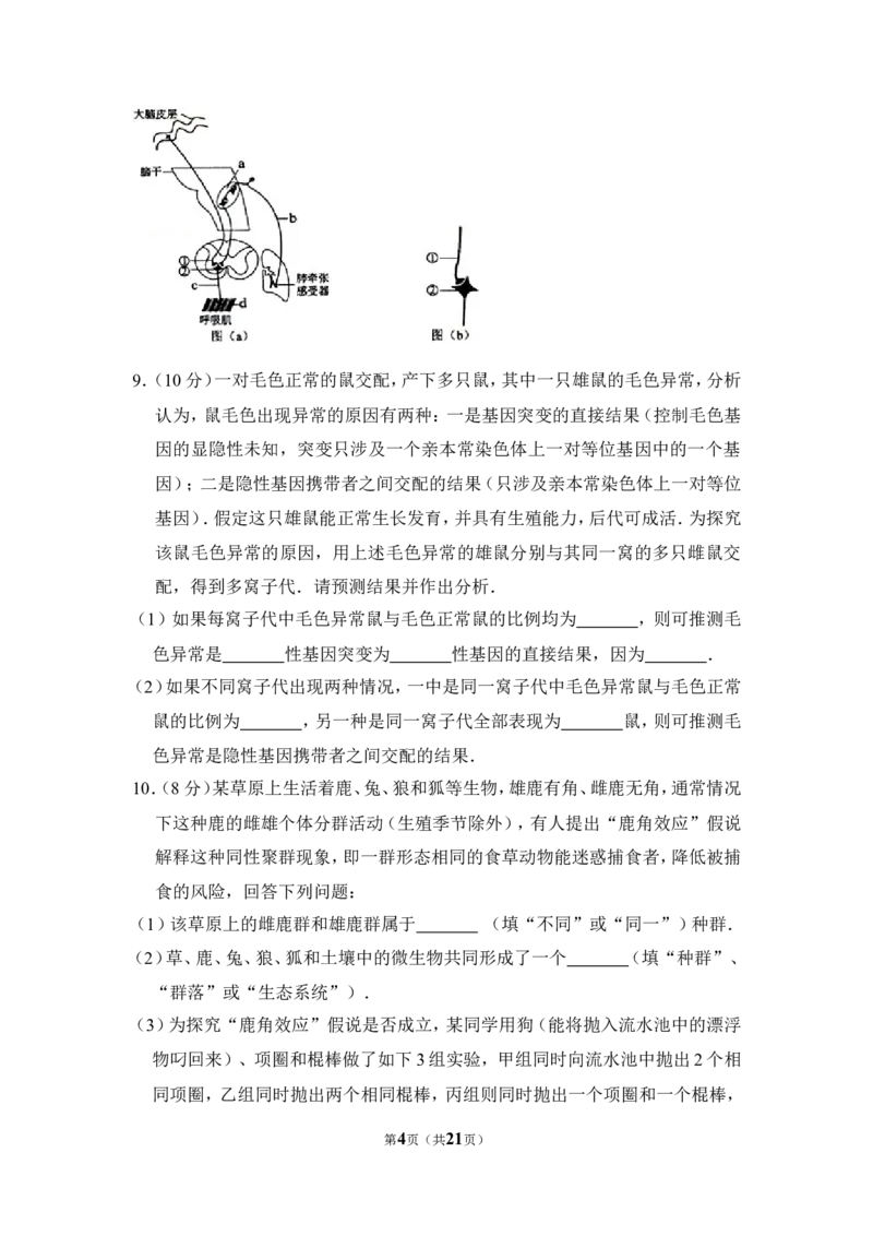 《2012年全国统一高考生物试卷（新课标）（含解析版）(1)_高考一二三轮复习_生物_2027年高考生物专项_2008年-2026年生物高考真题-G427_2008-2020年高考_全国卷_A4word版_307》第4页预览