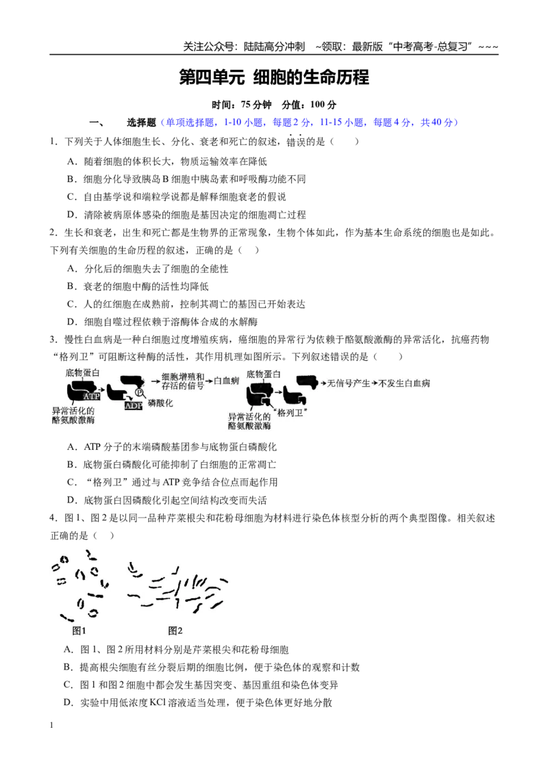 《第四单元细胞的生命历程（综合训练）（福建专用）（学生版）_06-生物-高考总复习_一轮复习_2026年-生物高考一轮复习_2026年高考生物一轮课件+讲义+练习（福建专用）-G328》第1页预览