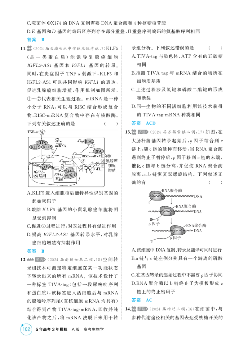 《1_精练册-第9章　基因的表达_2026版教学资源包_202653高考总复习A版_江苏版_2026版.江苏版.选考总复习.生物.5·3A版_第2部分遗传与进化_第9章基因的表达_1_精练册PDF》第4页预览