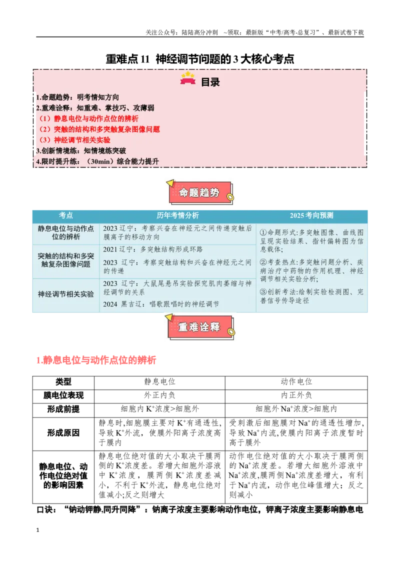 《重难点11神经调节问题的3大核心考点（教师版）_06-生物-高考总复习_专项复习_2025年_2025年高考生物重难点讲义专练（黑吉辽蒙专用）》第1页预览