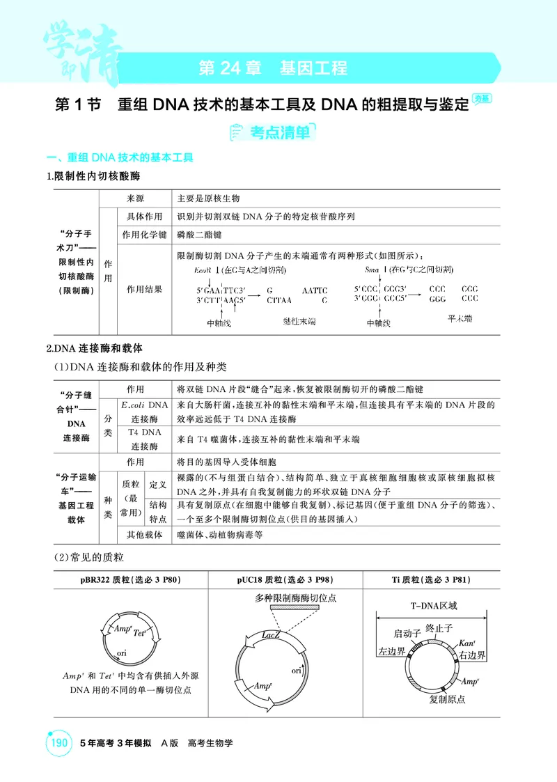 《1_精讲册PDF-第24章基因工程_2026版教学资源包_202653高考总复习A版_山东版_2026版.山东版.选考总复习.生物.5·3A版_第5部分生物技术与工程_第24章基因工程_2_精讲册PDF》第1页预览
