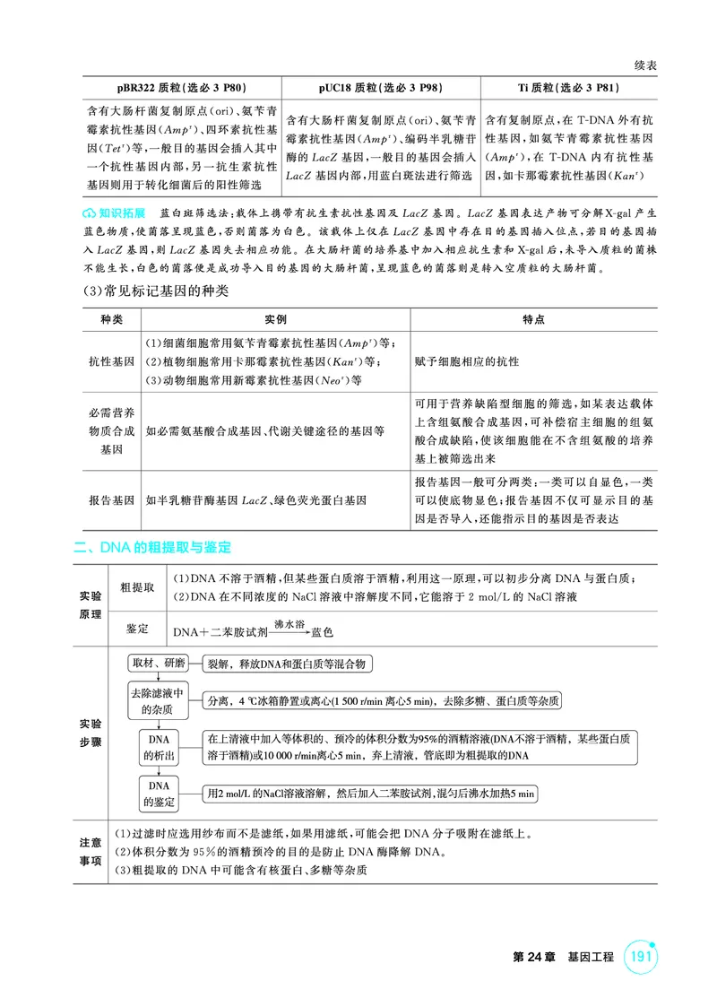 《1_精讲册PDF-第24章基因工程_2026版教学资源包_202653高考总复习A版_山东版_2026版.山东版.选考总复习.生物.5·3A版_第5部分生物技术与工程_第24章基因工程_2_精讲册PDF》第2页预览