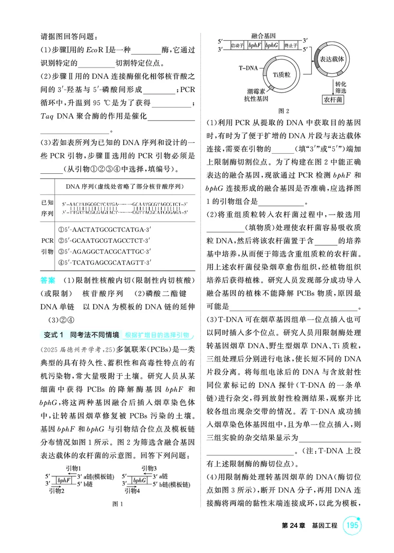 《1_精讲册PDF-第24章基因工程_2026版教学资源包_202653高考总复习A版_山东版_2026版.山东版.选考总复习.生物.5·3A版_第5部分生物技术与工程_第24章基因工程_2_精讲册PDF》第6页预览