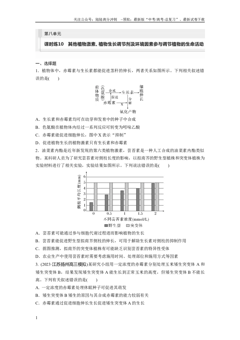 《第8单元　课时练10　其他植物激素、植物生长调节剂及环境因素参与调节植物的生命活动_06-生物-高考总复习_一轮复习_2024年_2024高考生物大一轮复习课件讲义新人教版知识总结》第1页预览