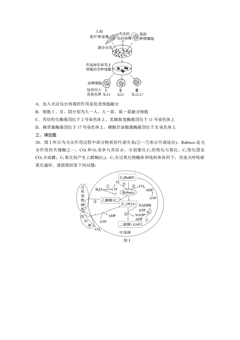 《2022生物卷(江苏)（精校版）_2026版高中《二三轮复习+冲刺复习》_高考生物生物二轮2026届高考生物步步高大二轮专题复习教师用书(word版)+教师用书配套PPT+题库(word版)(完整版)》第5页预览
