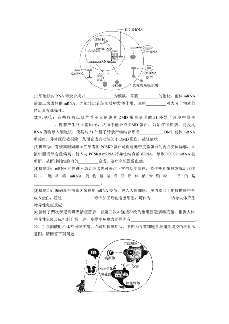 《2022生物卷(江苏)（精校版）_2026版高中《二三轮复习+冲刺复习》_高考生物生物二轮2026届高考生物步步高大二轮专题复习教师用书(word版)+教师用书配套PPT+题库(word版)(完整版)》第7页预览