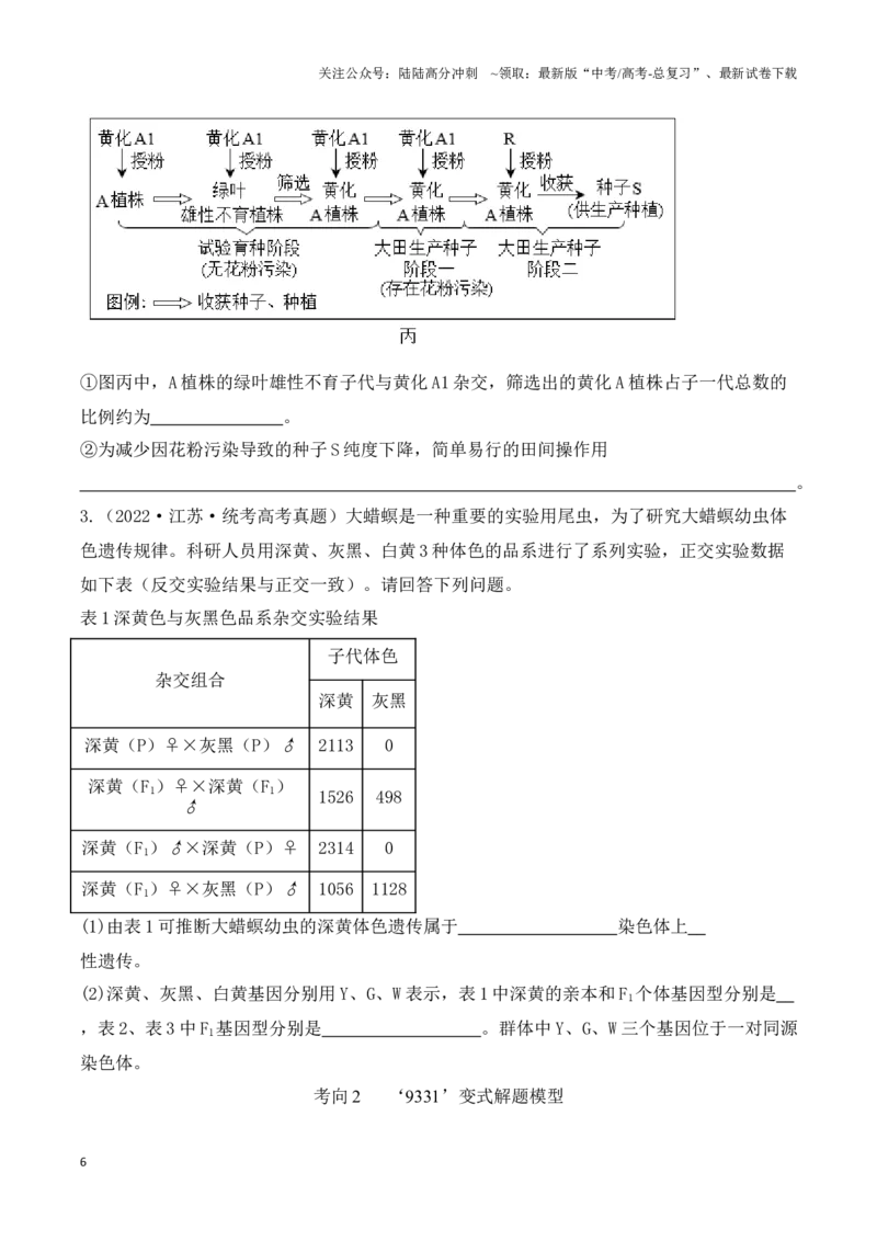 《题型07遗传（原卷版）_06-生物-高考总复习_专项复习_2024年_2024年高考生物答题技巧与模板构建》第6页预览