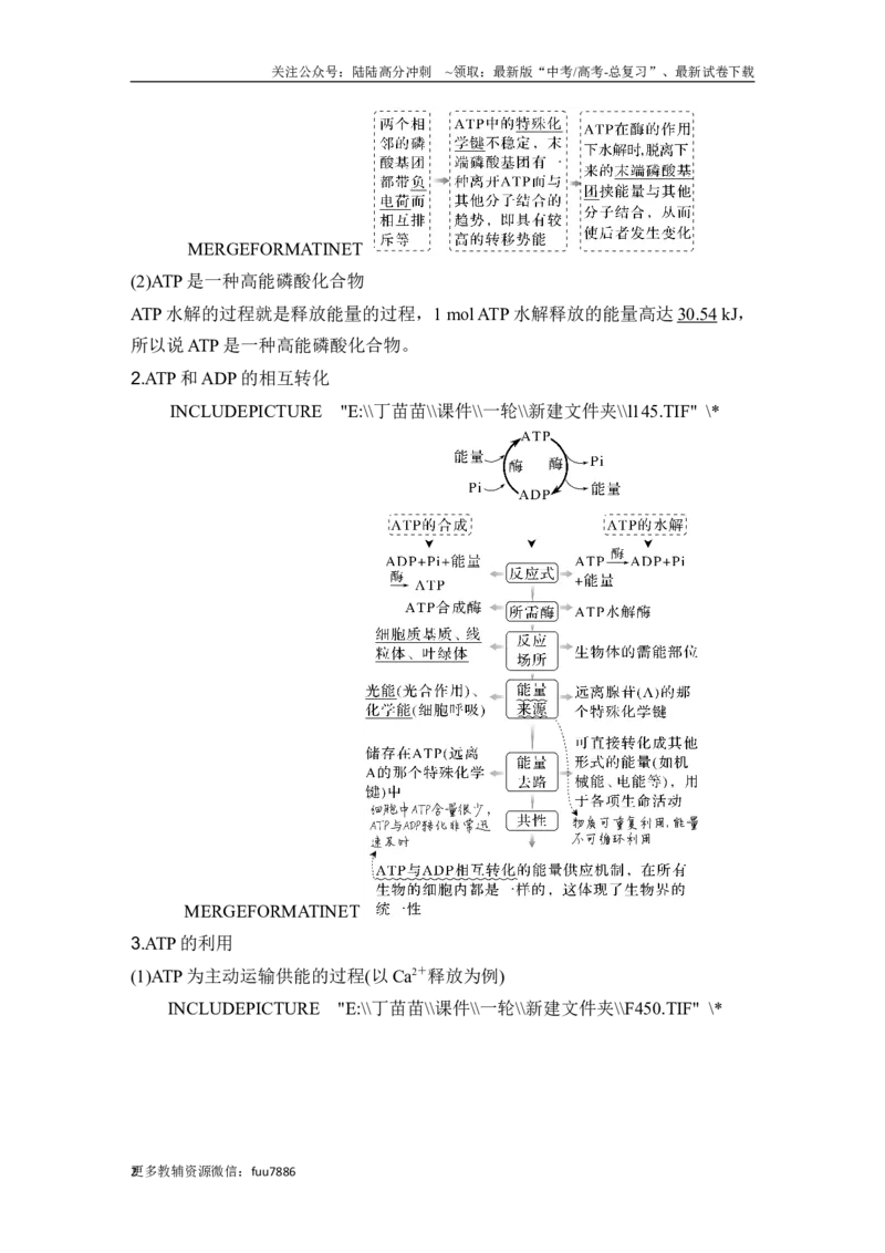 《第7讲ATP和酶_06-生物-高考总复习_一轮复习_2024年_2024高考生物大一轮复习课件讲义新人教版知识总结_2024年高考生物一轮复习讲义（新人教版）_另赠1套Word版题库_必修1》第2页预览