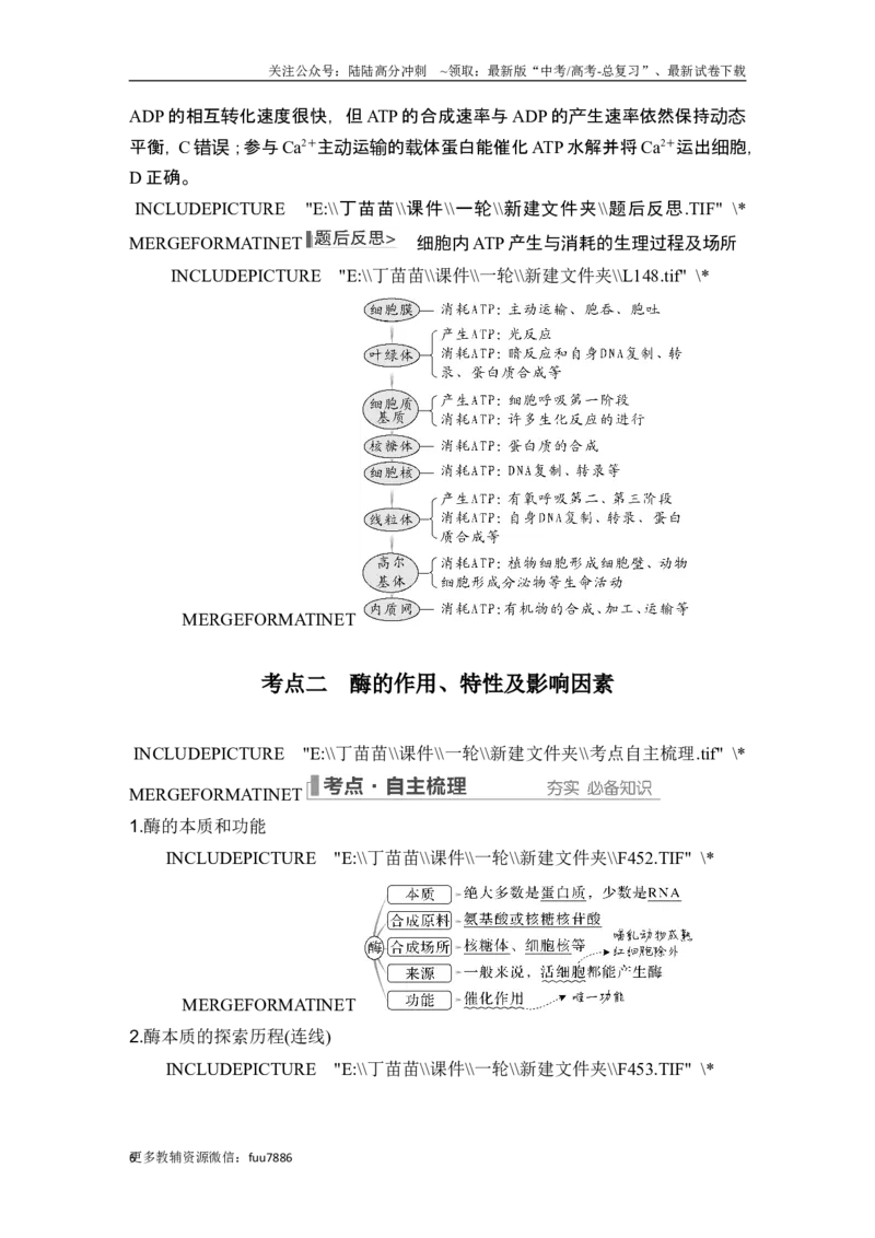 《第7讲ATP和酶_06-生物-高考总复习_一轮复习_2024年_2024高考生物大一轮复习课件讲义新人教版知识总结_2024年高考生物一轮复习讲义（新人教版）_另赠1套Word版题库_必修1》第6页预览