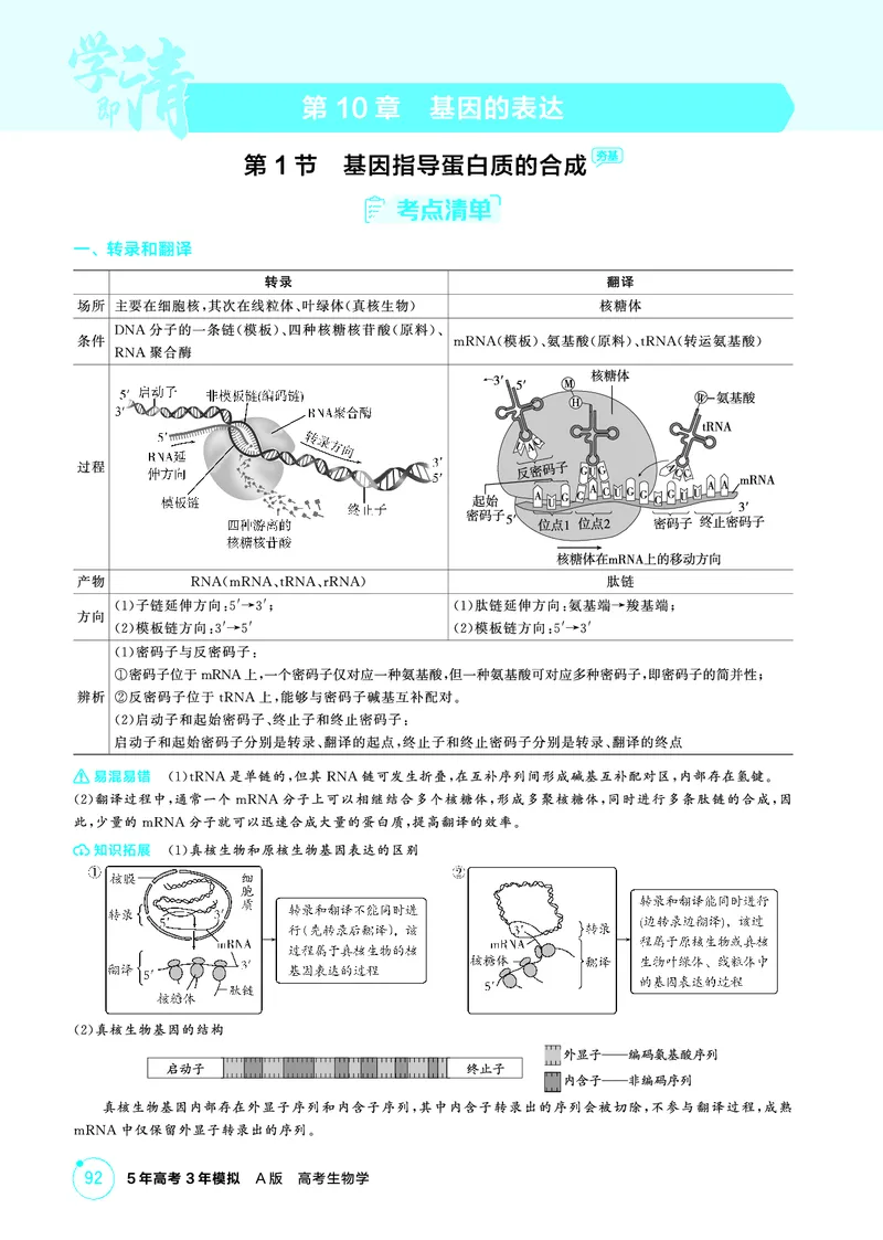 《1_精讲册PDF-第10章基因的表达_2026版教学资源包_202653高考总复习A版_山东版_2026版.山东版.选考总复习.生物.5·3A版_第2部分遗传与进化_第10章基因的表达_2_精讲册PDF》第1页预览
