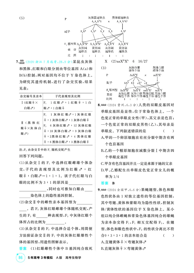 《1_精练册-第6章伴性遗传与人类遗传病_2026版教学资源包_202653高考总复习A版_浙江版_2026版.浙江版.选考总复习.生物.5·3A版_第2部分遗传与进化_第6章伴性遗传与人类遗传病_1_精练册PDF》第3页预览