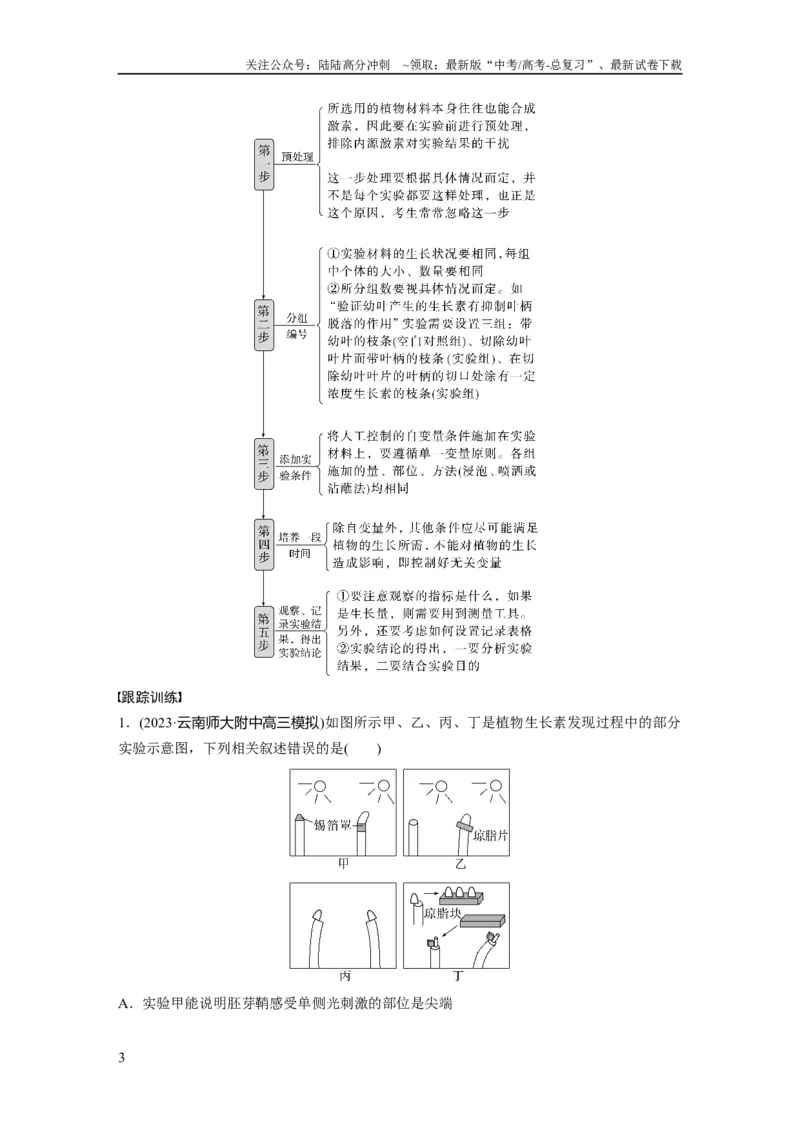 《第8单元　微专题七　植物激素调节的相关实验探究_06-生物-高考总复习_一轮复习_2024年_2024高考生物大一轮复习课件讲义新人教版知识总结_2024年高考生物一轮复习讲义（新人教版）》第3页预览