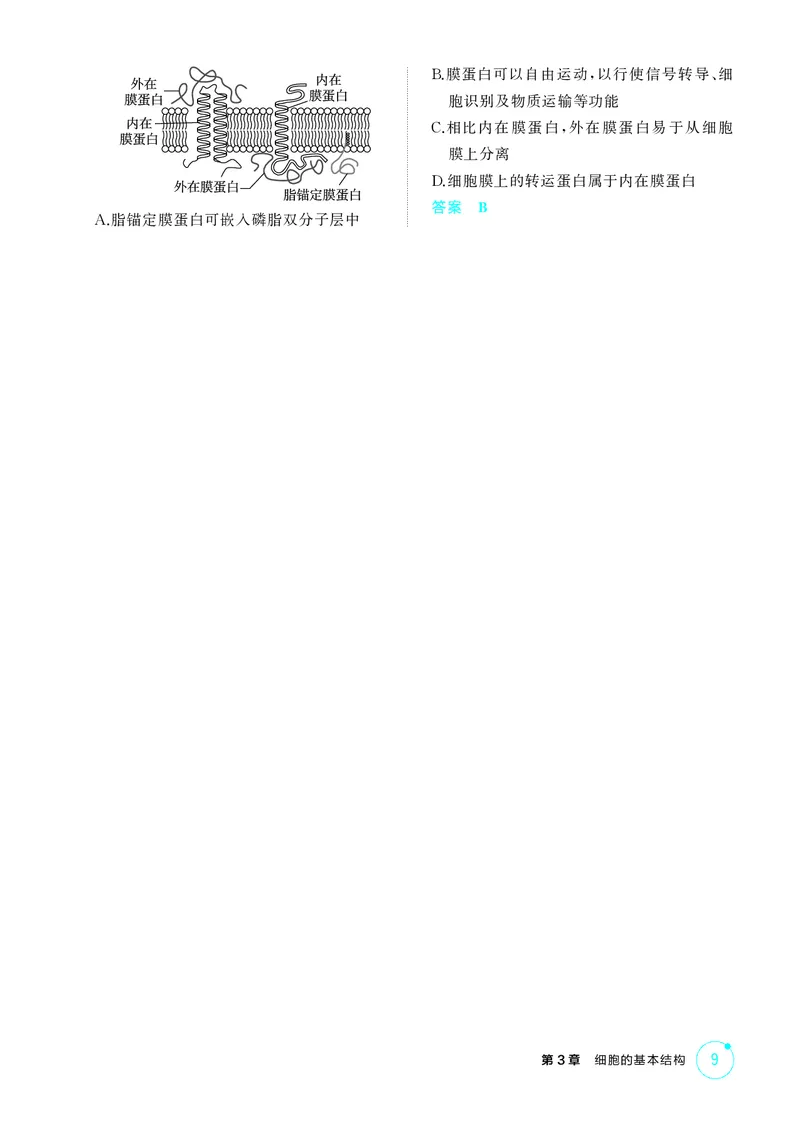 《1_精练册第3章细胞的基本结构_2026版教学资源包_202653高考总复习A版_新高考_生物_教师A版2026年.新高考版.生物.53_第1部分分子与细胞_第3章细胞的基本结构_4_PDF教参电子书》第2页预览